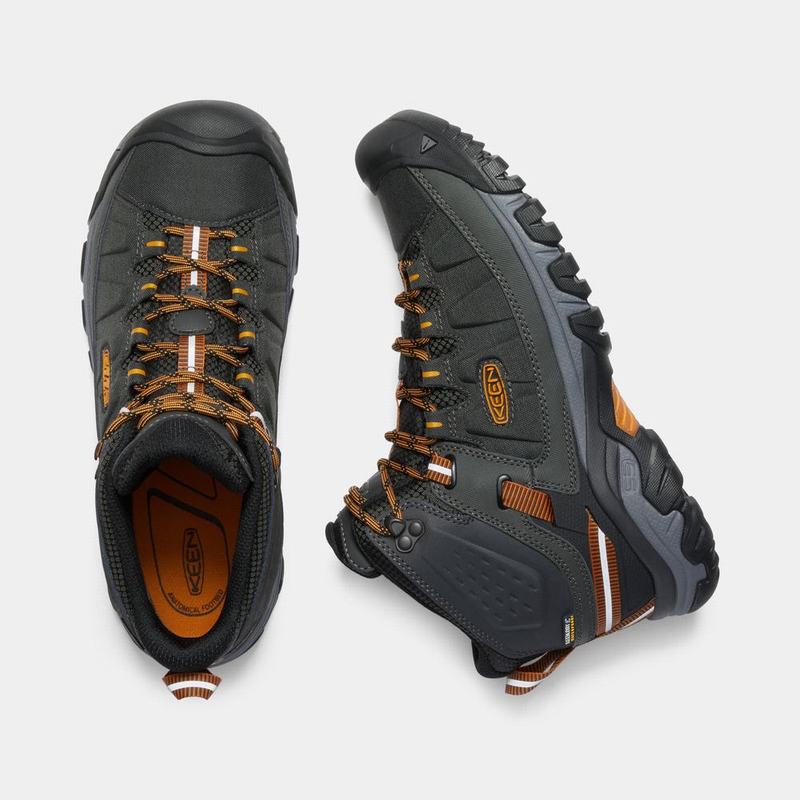 Keen Targhee Exp Waterproof Mid Mens Hiking Boots Black/Gold NZ (4792-LUCFT)